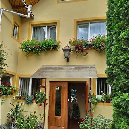 B&B Dumbrava Gura Humorului Kültér fotó
